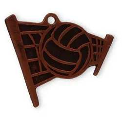 Motivmedaille Volleyball bronzefarben