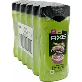 Axe Epic Fresh Duschgel 250 ml