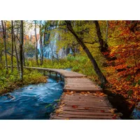 Ravensburger Erwachsenenpuzzle 1000 Teile - Herbstlicher Waldweg
