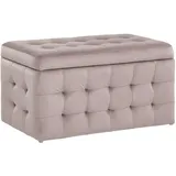 Hocker mit Stauraum Deckel Samt rosa Bettbank Truhe Fußhocker Modern Michigan