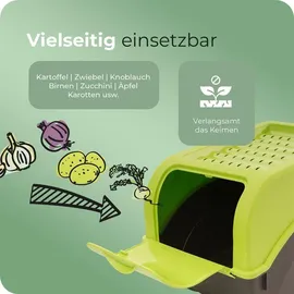 Novaliv Aufbewahrungsbox 5L 1-tlg. grün