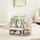 aiyaplay Kinderregal mit 4 offenen Fächern 80 x 30 x 79,7 cm Kiefer weiß