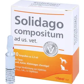 Heel Solidago Comositum ad us.vet. Ampullen 10 x 2,2 ml