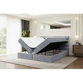 altdecor Boxbett, Grau Samt