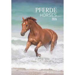 Pferde - Kalender 2026
