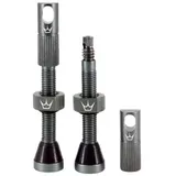 Chris King Peaty's Tubeless Ventil Set 80 mm grau