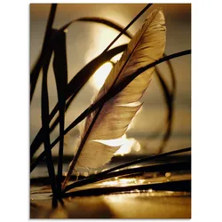 Glasbild ARTLAND "Feder im Abendlicht", gold (farbe bild(er): goldfarben), B:45cm H:60cm, Bilder, in verschiedenen Größen