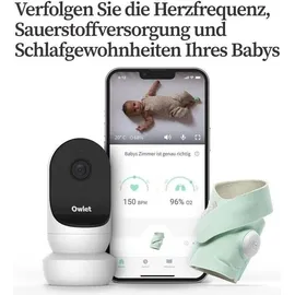 Owlet Dream Bundle: Dream Sock + Cam 2