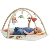 Skip Hop Geometrische Wunder bunt, Spielbögen, Baby