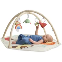 Skip Hop Geometrische Wunder bunt, Spielbögen, Baby