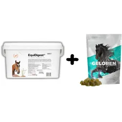 LAB-V EquiDigest verdauungsfördernde Futtermischung für Pferde 1kg + GELOREN HA Gelenkunterstützungsgel für Pferde 450G