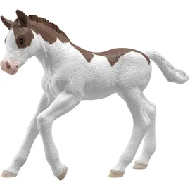 Schleich Horse Club Sammelfohlen Dipper 81459