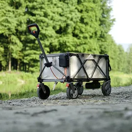 LiTHELi Bollerwagen W1 Pro grün