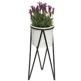 DanDiBo Ambiente DanDiBo Blumenhocker mit Topf Metall Schwarz Weiß S 50 cm Blumenständer 96043 Blumensäule Modern Pflanzenständer Pflanzenhocker