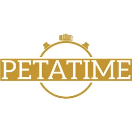 Aigner Herren Trapani Silber AGW.262002