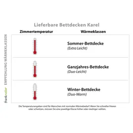 franknatur Bettdecke Kamelhaar Baumwolle Sommerdecke Karel