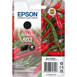 Epson 503 schwarz