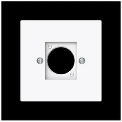 Busch-Jaeger Zentralscheibe XLR 2553-44G 2CKA001724A4448