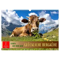 Calvendo Glückliche Bergkühe - Leben auf der Alm (Wandkalender