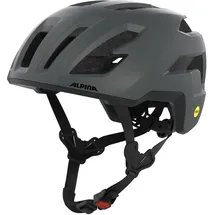 Alpina Taunus Gravel MIPS 2026 grau