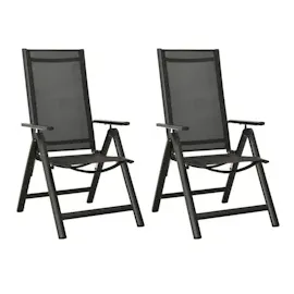 vidaXL Gartenstuhl 56 x 65 x 109 cm schwarz klappbar 2 St.
