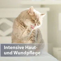 Felisept Mikro Silberspray für Katzen 75 ml