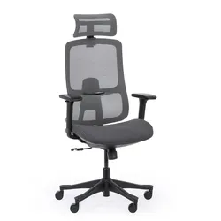 Bürostuhl LYNX, grau