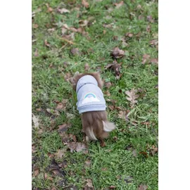 Trixie Hoodie Rainbow Falls Hundepullover 30 cm hellgrau