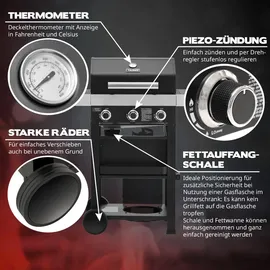 TAINO WABAYA 3+0 Gasgrill mit Gasdruckminderer und Abdeckhaube