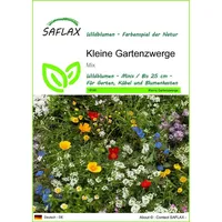 SAFLAX - Wildblumen: Kleine Gartenzwerge - 1000 Samen -