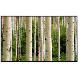 Papermoon Infrarotheizung Aspen Woods im Sommer 800 W bunt