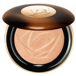 Idôle Teint Ultra Highlighter