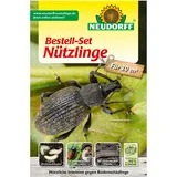 NEUDORFF Nützlinge gegen Bodenschädlinge