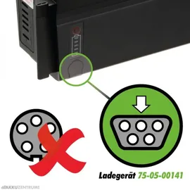 Phylion Akku Ladegerät 54,0V 2,0A