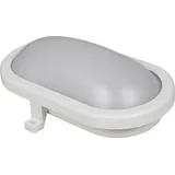 McShine Ovalleuchte 12W LED Kunststoff IP65