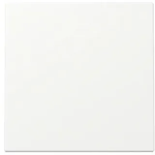 Gira Wippe 329627 Sys.55 rws m