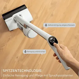 Rowenta X-Clean 10 GZ7035 weiß/silber