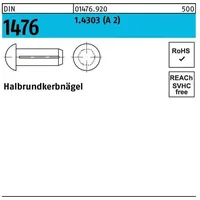 Reyher Halbrundkerbnagel DIN 1476 2,5x 5 1.4303 (A 2)