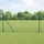 vidaXL Maschendrahtzaun 100 x 50 m Grün/Stahl