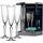 Ritzenhoff & Breker Perpetuo Sektglas 0,19 l 4er Set