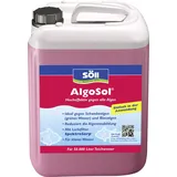 Söll Algenvernichter 2,5 l