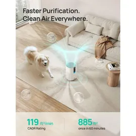 DREO Air Purifier 605S Weiß