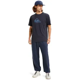 QUIKSILVER Graphic Jogger Pants