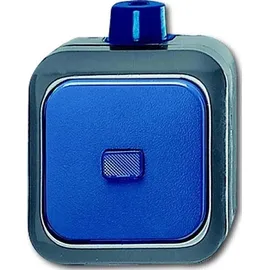 Busch-Jaeger Wechselschalter AP 2601/6 WDI