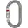 Petzl OK-Karabiner Schraubverschluss Grau