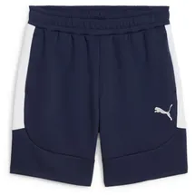 Puma teamEvostripe Shorts Herren 06 navy/silver/white M