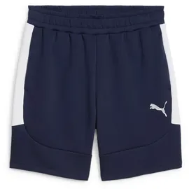 Puma teamEvostripe Shorts Herren 06 navy/silver/white M