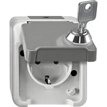 Merten Schuko-Steckdose 1-fach Lichtgrau 1 St.