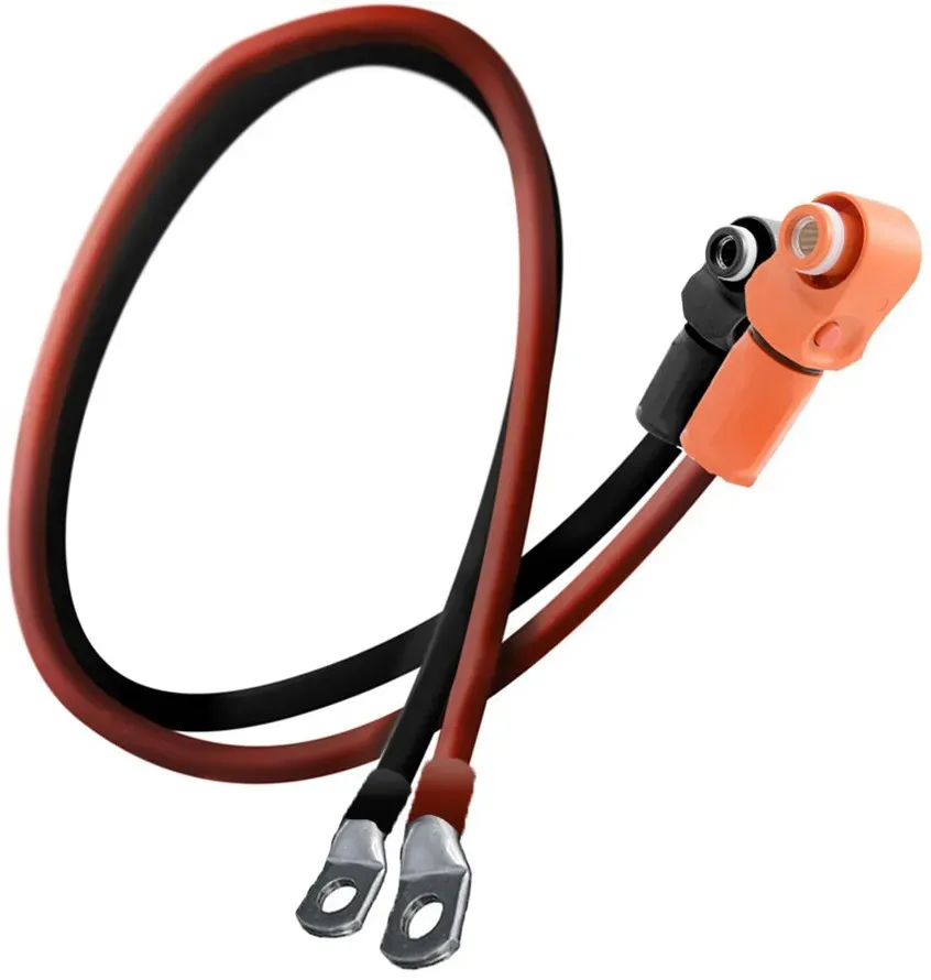 Hückmann Kabelsatz für LX48-100 LICB-2M