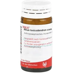 Rhus Toxicodendron Comp